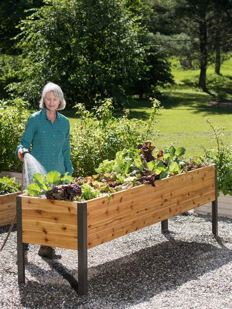 self watering elevated garden box